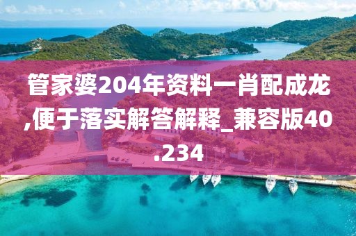 管家婆204年资料一肖配成龙,便于落实解答解释_兼容版40.234