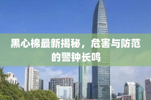 黑心棉最新揭秘，危害与防范的警钟长鸣
