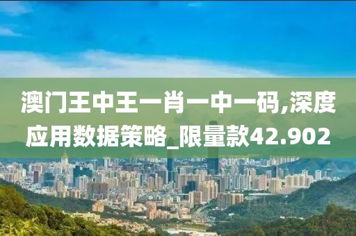 澳门王中王一肖一中一码,深度应用数据策略_限量款42.902