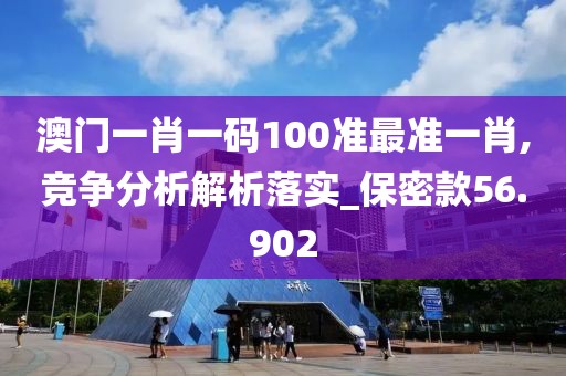 澳门一肖一码100准最准一肖,竞争分析解析落实_保密款56.902