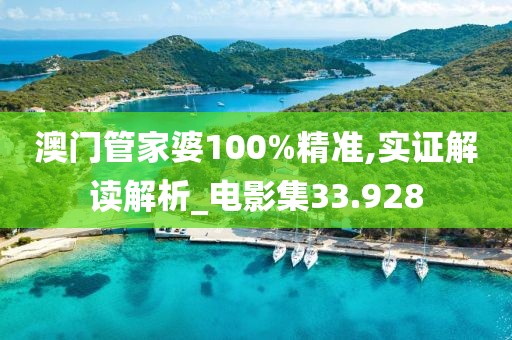 澳门管家婆100%精准,实证解读解析_电影集33.928