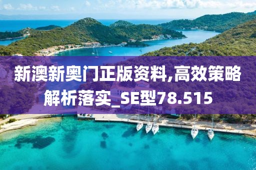 新澳新奥门正版资料,高效策略解析落实_SE型78.515