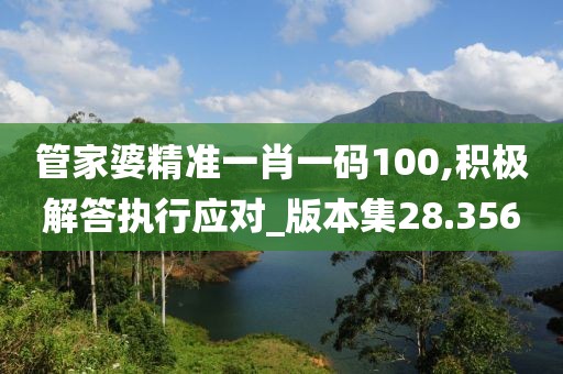 管家婆精准一肖一码100,积极解答执行应对_版本集28.356