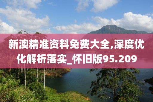 新澳精准资料免费大全,深度优化解析落实_怀旧版95.209