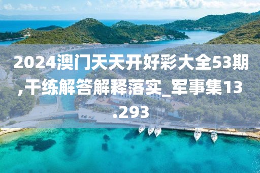 2024澳门天天开好彩大全53期,干练解答解释落实_军事集13.293