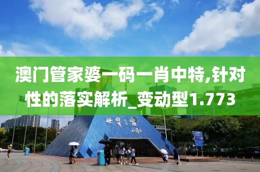澳门管家婆一码一肖中特,针对性的落实解析_变动型1.773