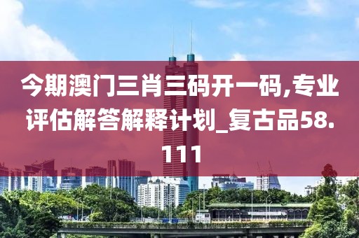 今期澳门三肖三码开一码,专业评估解答解释计划_复古品58.111