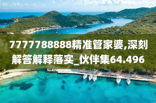 7777788888精准管家婆,深刻解答解释落实_伙伴集64.496