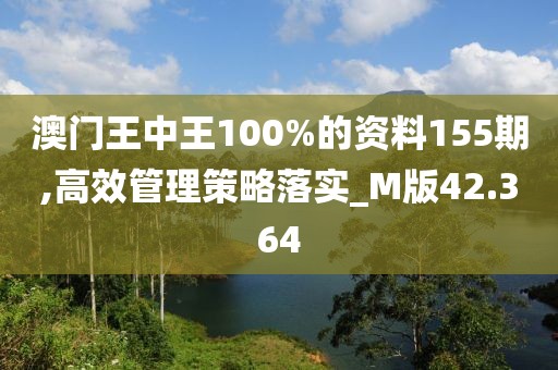 澳门王中王100%的资料155期,高效管理策略落实_M版42.364