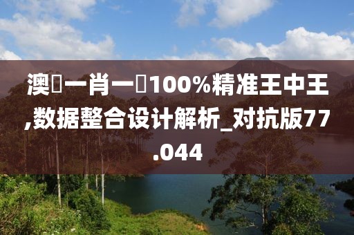 澳門一肖一碼100%精准王中王,数据整合设计解析_对抗版77.044