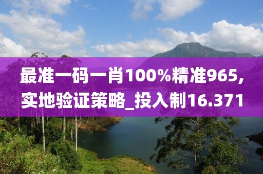 最准一码一肖100%精准965,实地验证策略_投入制16.371
