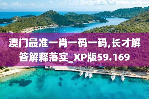 澳门最准一肖一码一码,长才解答解释落实_XP版59.169
