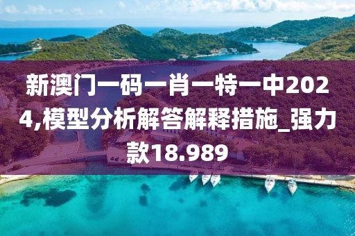 新澳门一码一肖一特一中2024,模型分析解答解释措施_强力款18.989