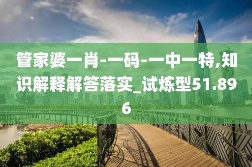 管家婆一肖-一码-一中一特,知识解释解答落实_试炼型51.896