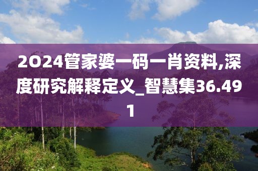 2O24管家婆一码一肖资料,深度研究解释定义_智慧集36.491