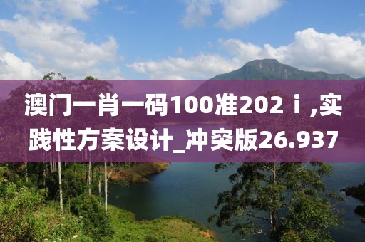 澳门一肖一码100准202ⅰ,实践性方案设计_冲突版26.937