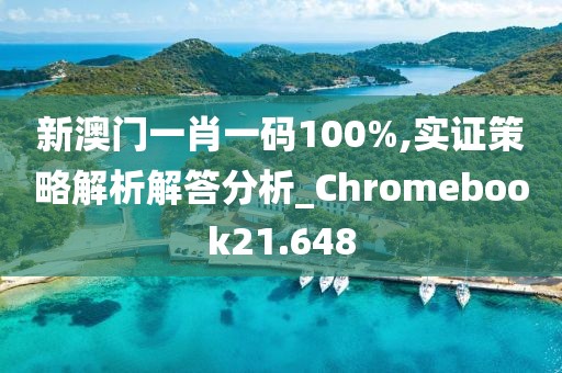 新澳门一肖一码100%,实证策略解析解答分析_Chromebook21.648