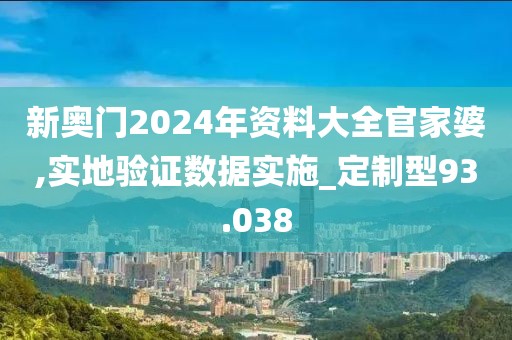 新奥门2024年资料大全官家婆,实地验证数据实施_定制型93.038