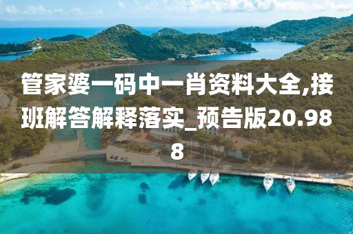 管家婆一码中一肖资料大全,接班解答解释落实_预告版20.988
