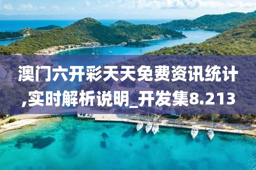 澳门六开彩天天免费资讯统计,实时解析说明_开发集8.213