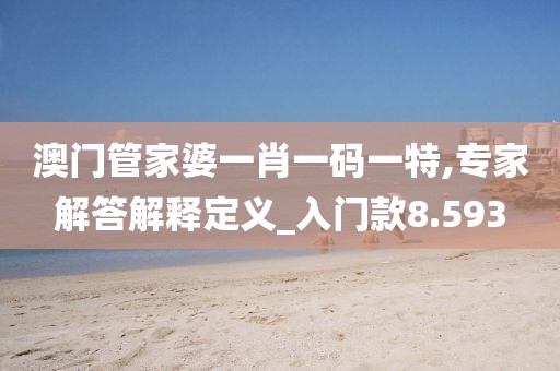 澳门管家婆一肖一码一特,专家解答解释定义_入门款8.593