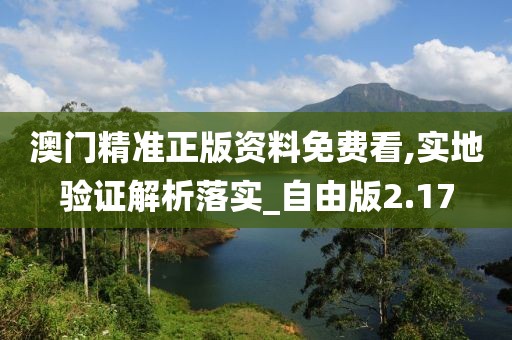 澳门精准正版资料免费看,实地验证解析落实_自由版2.17