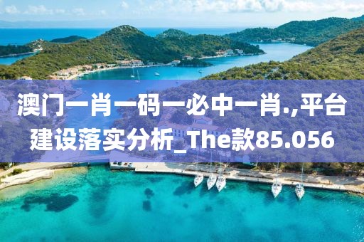 澳门一肖一码一必中一肖.,平台建设落实分析_The款85.056