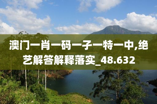澳门一肖一码一孑一特一中,绝艺解答解释落实_48.632