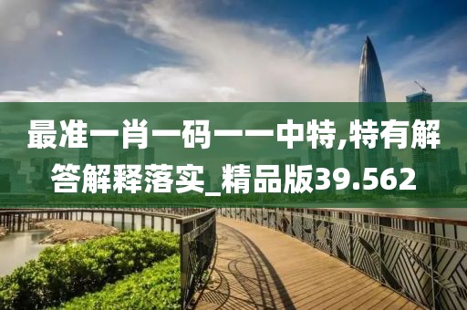最准一肖一码一一中特,特有解答解释落实_精品版39.562