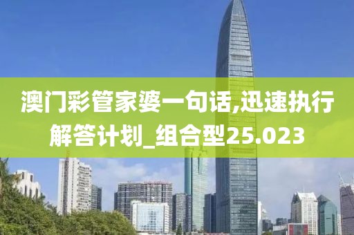 澳门彩管家婆一句话,迅速执行解答计划_组合型25.023