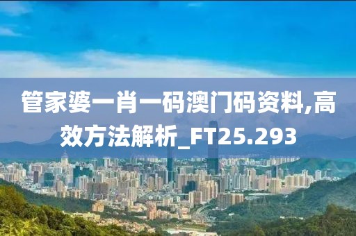 管家婆一肖一码澳门码资料,高效方法解析_FT25.293