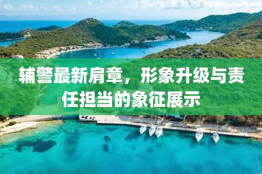 辅警最新肩章，形象升级与责任担当的象征展示