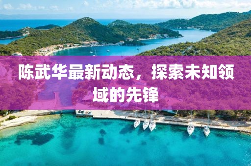 陈武华最新动态，探索未知领域的先锋