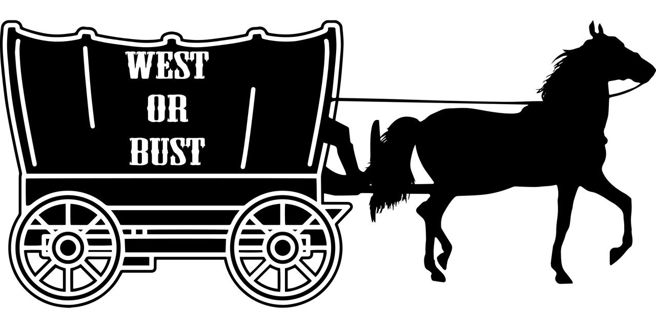 冷香 第182页