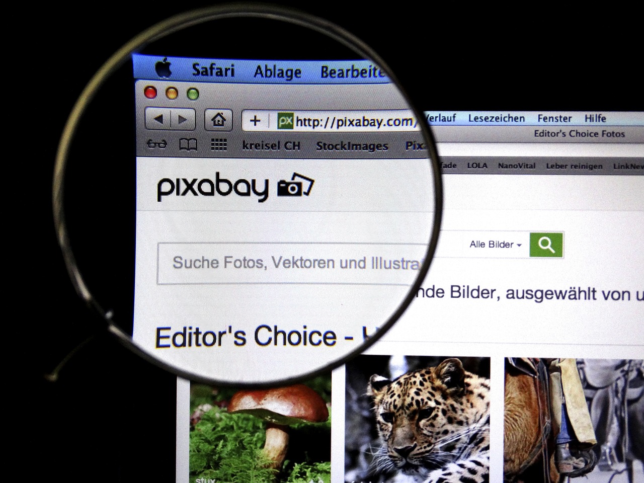 为,警惕涉黄内容传播,远离低俗视频文化。