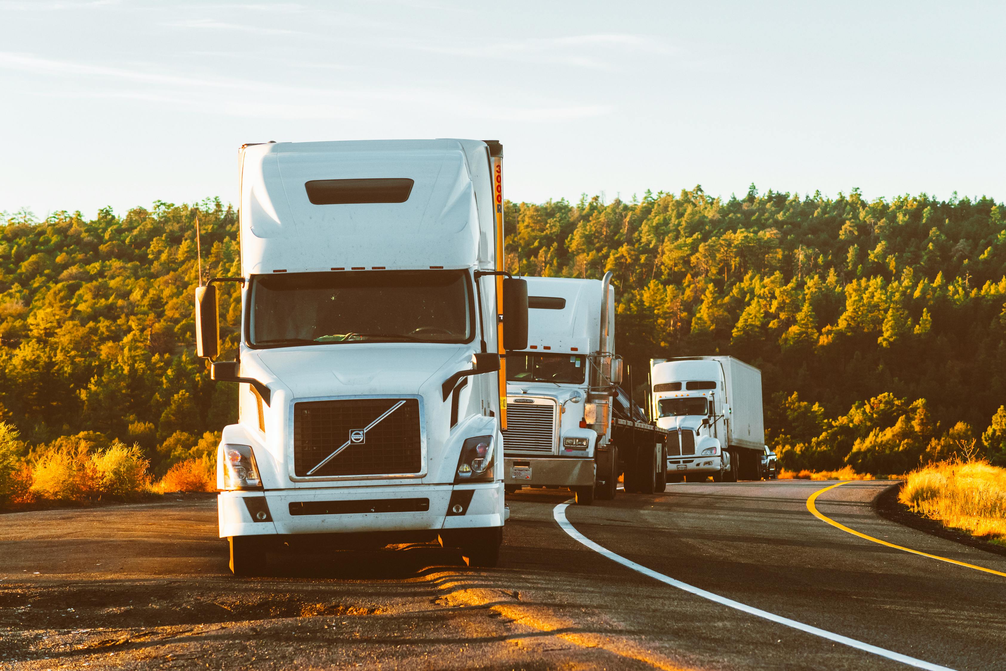 2024新澳门正版免费资本车,中国自动化专家人才培养现状与发展趋势研究