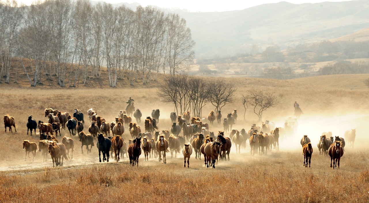 桂林国际马拉松，风景如画赛道上的激情奔跑